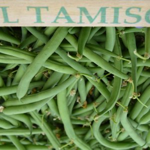 FAGIOLINI: azienda agricola Simone Bozza (Padova), 0,8 kg