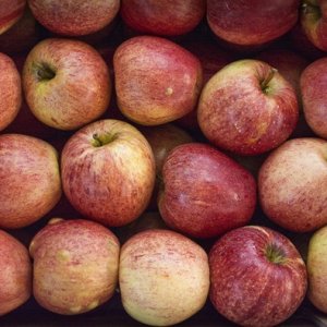 MELE "nuove" GALA di montagna: azienda agricola Giuseppe Rampanelli, Spormaggiore (TN), 2 kg