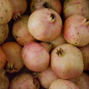 MELAGRANA, cooperativa Sinubio,  Masala (Trapani), 1 kg 