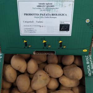PATATE NOVELLE GIALLE di montagna: azienda agricola Valerio Abbiate, Guiglia (Modena), 2 kg
