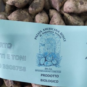 PATATE DOLCI AMERICANE, orto di Titti e Toni, Anguillara (Padova), 1 kg