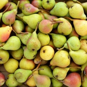 PERE "Carmen": azienda E.I.A.R., Cesena, 1 kg