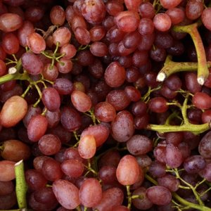 UVA ROSSA SENZA SEMI: : O.P. Agritalia, Barletta, 1 kg