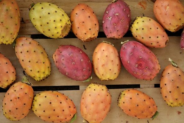 FICHI D'INDIA: cooperativa I Frutti del Sole, Marsala (Trapani), 0.8 kg