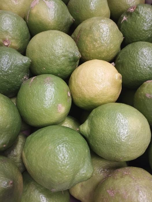 LIMONI VERDELLO, Consorzio A.P.O. Sicilia (Palermo); 1 kg