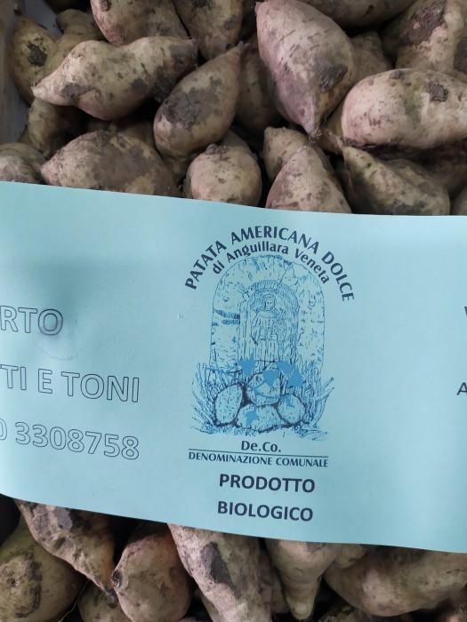 PATATE DOLCI AMERICANE, orto di Titti e Toni, Anguillara (Padova), 1 kg