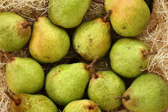 PERE WILLIAM: aazienda agricola Magagna, Quartesana (Ferrara), 1 kg