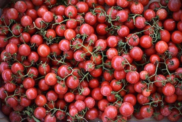 POMODORO CILIEGINO: O.P. Agrologica, Chiaramonte Gulfi (Ragusa), 0,8 kg
