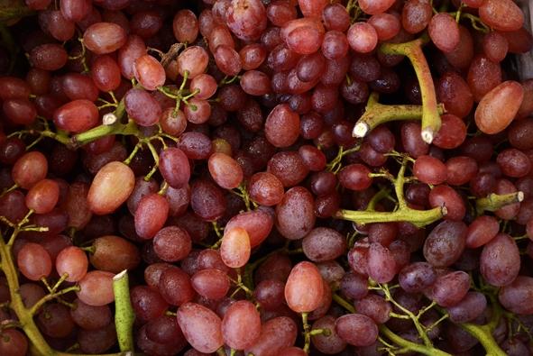 UVA ROSSA SENZA SEMI: : O.P. Agritalia, Barletta, 1 kg