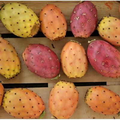 FICHI D'INDIA: cooperativa I Frutti del Sole, Marsala (Trapani), 0.8 kg