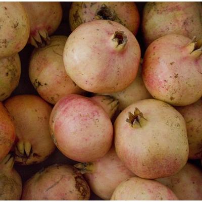 MELAGRANA, cooperativa Sinubio,  Masala (Trapani), 1 kg 