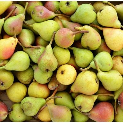 PERE "Carmen": azienda E.I.A.R., Cesena, 1 kg
