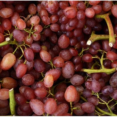 UVA ROSSA SENZA SEMI: : O.P. Agritalia, Barletta, 1 kg